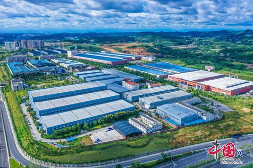 綿陽游仙 軟硬兼施 讓營商環境成為經濟社會發展 硬支撐