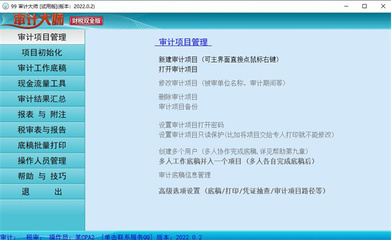 審計大師軟件官方版